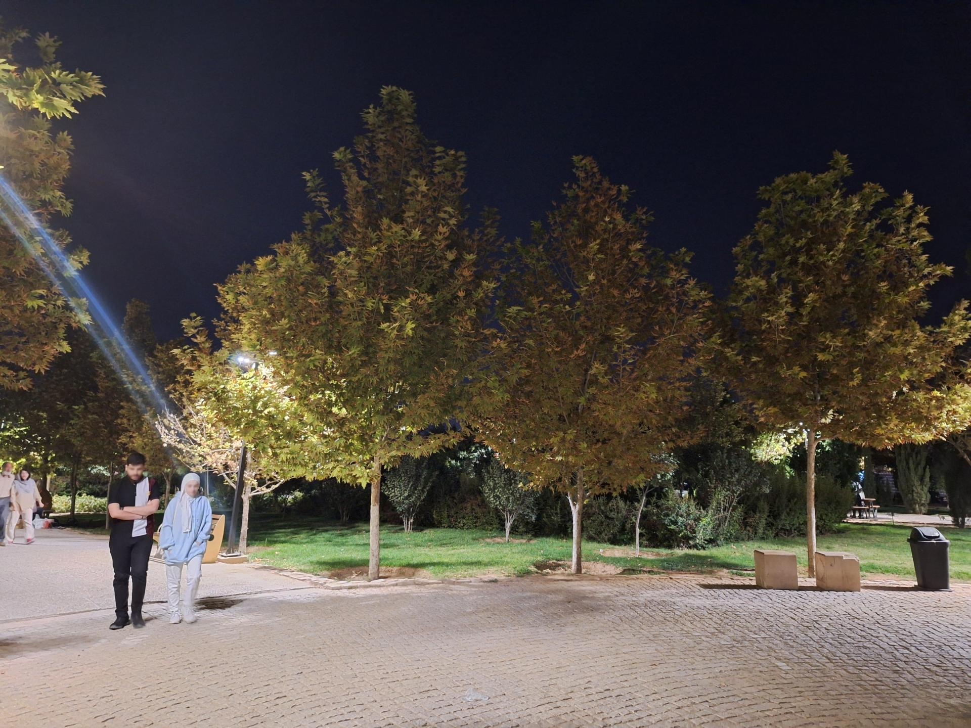 عکس بوستان بعثت