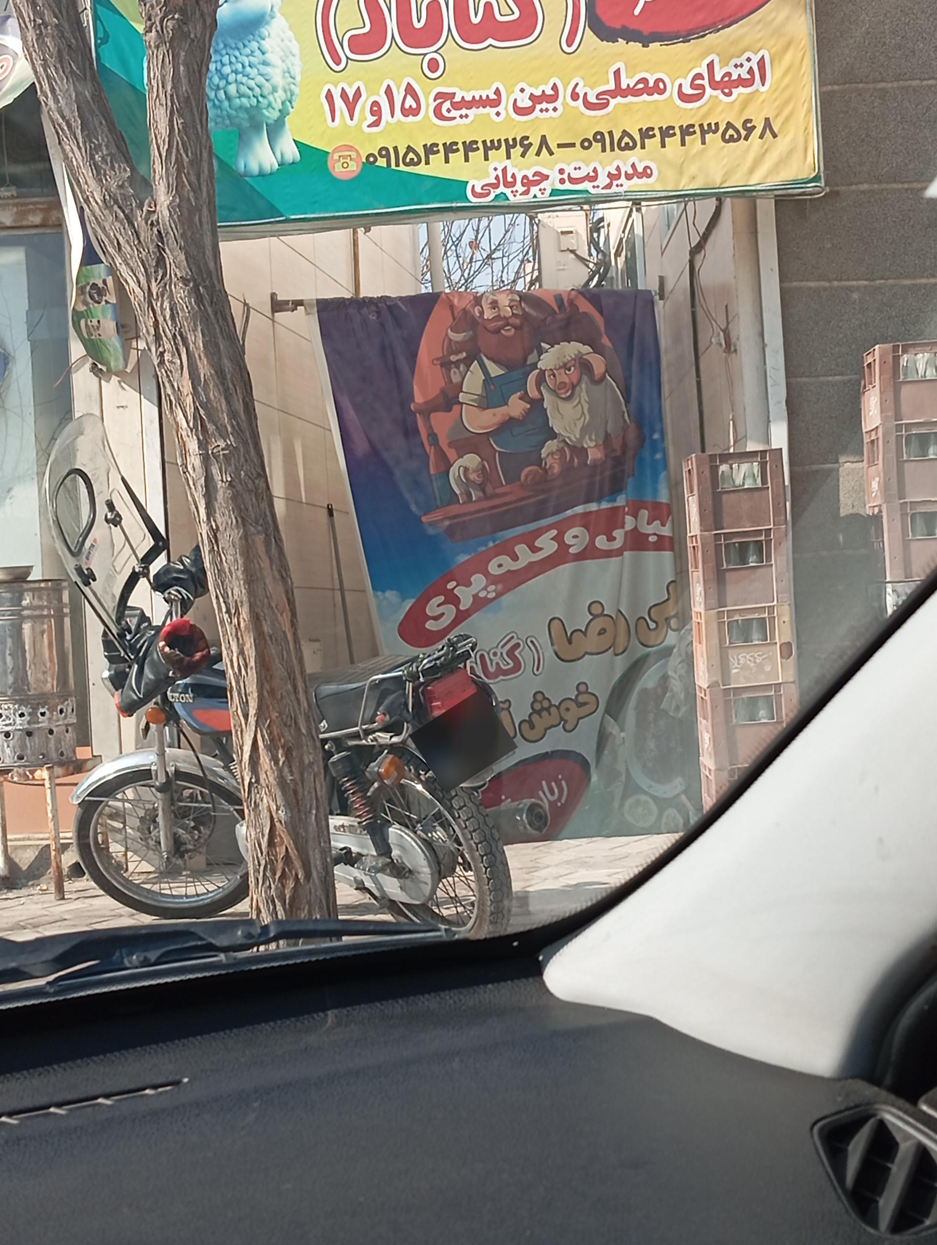 عکس طباخی دایی رضا