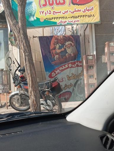 عکس طباخی دایی رضا