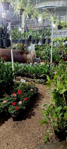 گلخانه نوبهار