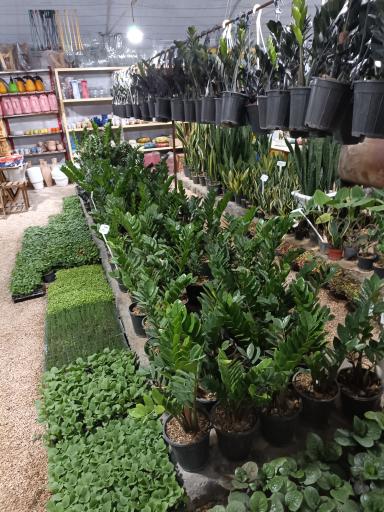 گلخانه نوبهار