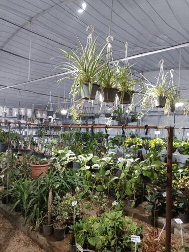 گلخانه نوبهار