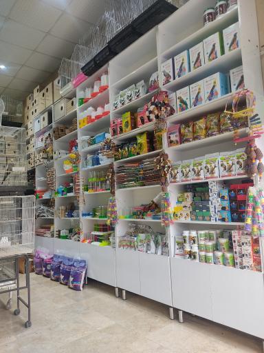 عکس پرنده فروشی کاکلی