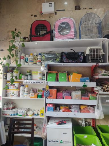 عکس پرنده فروشی کاکلی