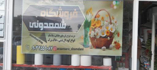 عکس فروشگاه شمدونی
