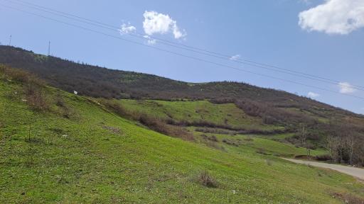 عکس کلشتر