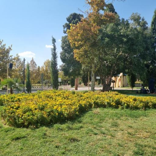 عکس بوستان بعثت