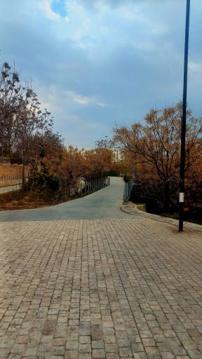 عکس بوستان بعثت