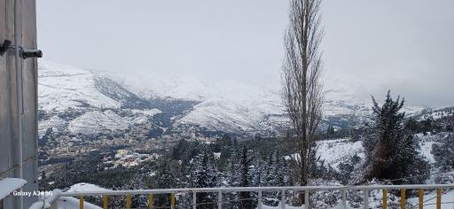 عکس کلشتر