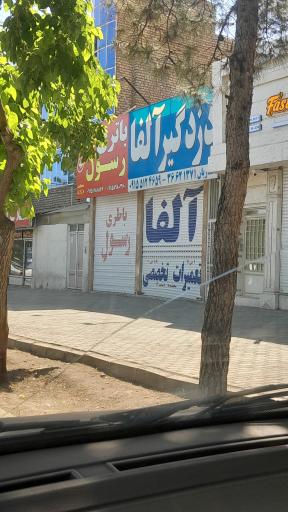 عکس دزدگیر آلفا