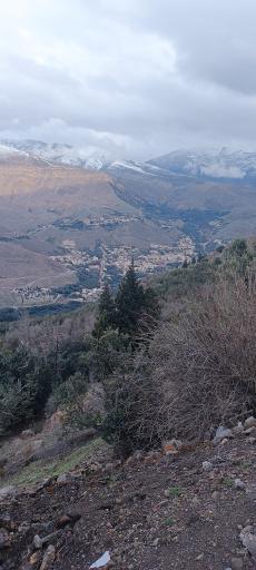 عکس کلشتر
