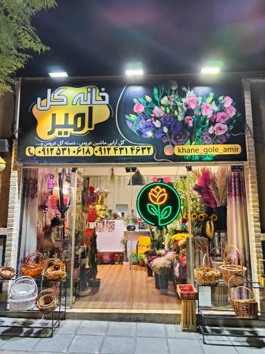 عکس خانه گل امیر