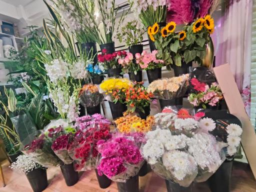 عکس خانه گل امیر