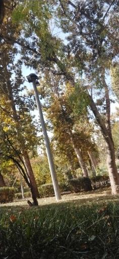 عکس بوستان کودک