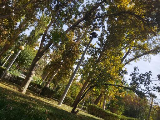 عکس بوستان کودک