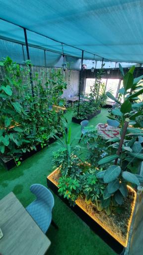 عکس کافه بوفالو