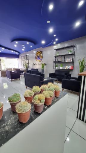 عکس کافه بوفالو