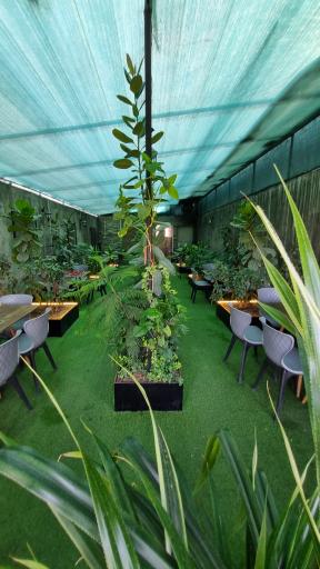 عکس کافه بوفالو