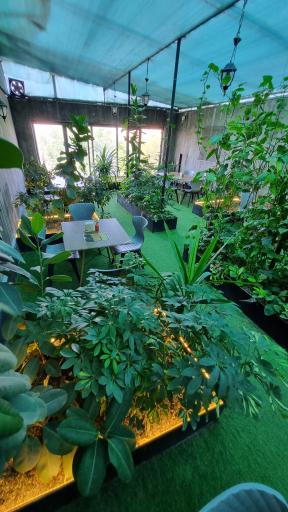 عکس کافه بوفالو