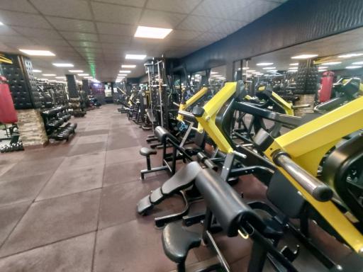 عکس آکادمی پرورش اندام ام پاور