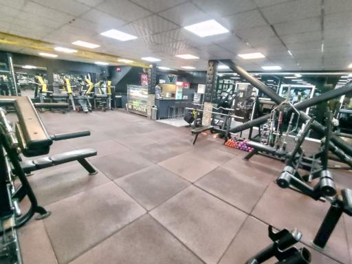 عکس آکادمی پرورش اندام ام پاور