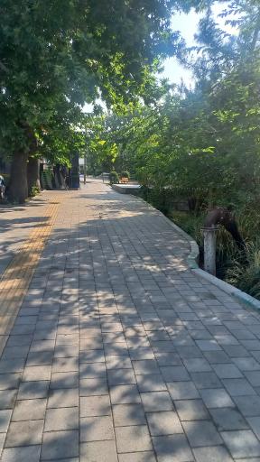 عکس بوستان کودک