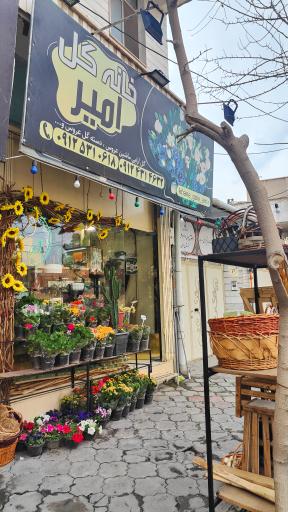 عکس خانه گل امیر