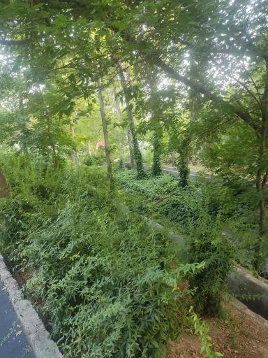 عکس بوستان کودک