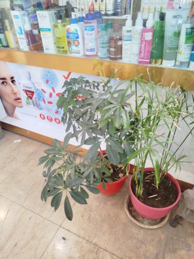 داروخانه دکتر زهرا صفاری
