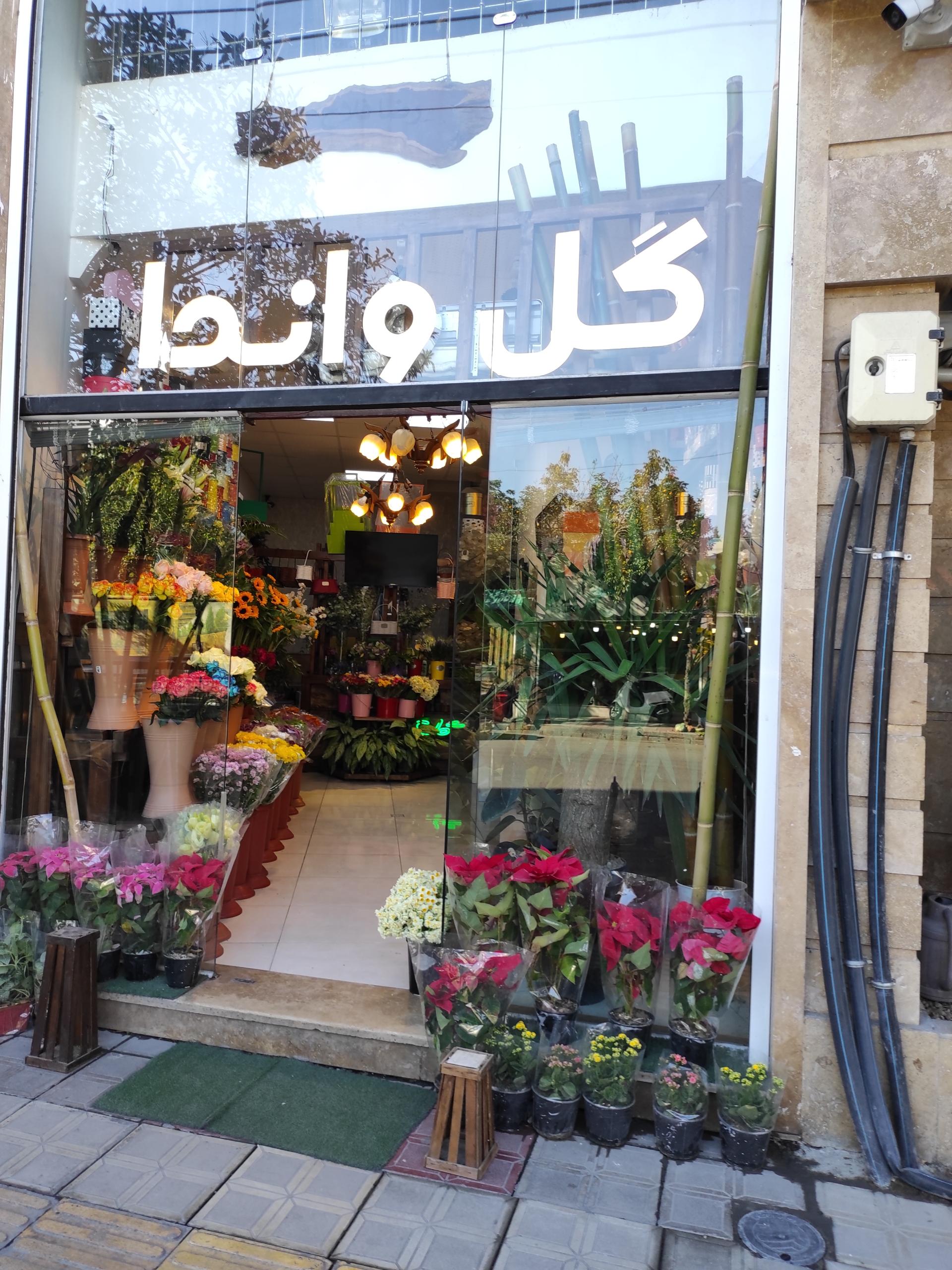 عکس گل واندا