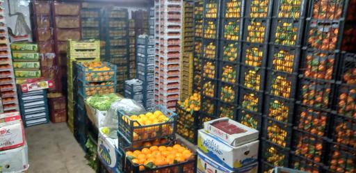 عکس میوه سرای سید