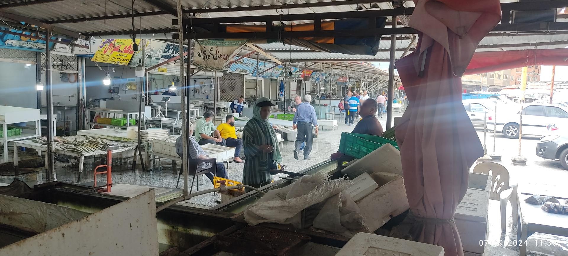 عکس ماهی سرای حجت خاکپور