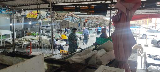 عکس ماهی سرای حجت خاکپور