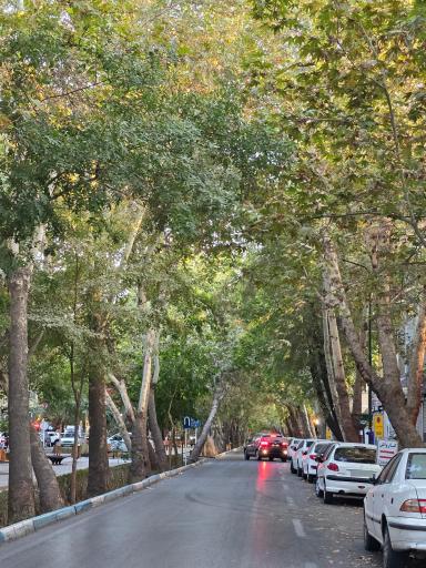 عکس آیینه چهارباغ 