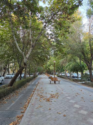 عکس آیینه چهارباغ 