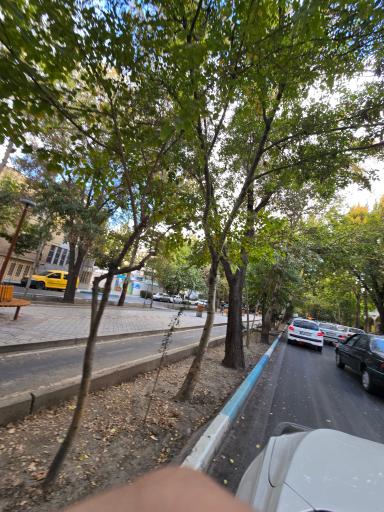 عکس آیینه چهارباغ 