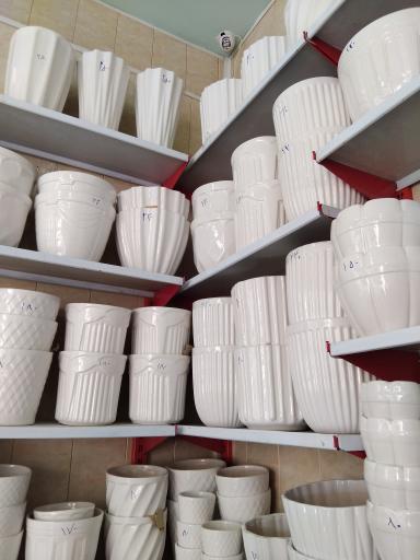 عکس عرضه گل و گلدان آپارتمانی طلایی