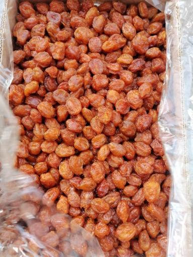 عکس آجیل و خشکبار آفتابگردون