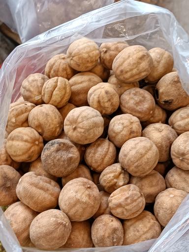 عکس آجیل و خشکبار آفتابگردون