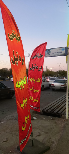 عکس طباخی بره تپل