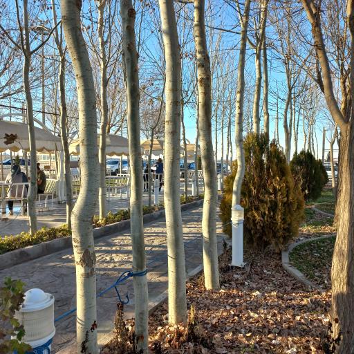 عکس مجتمع خدماتی رفاهی سرو