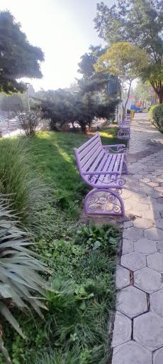 عکس بوستان گلها