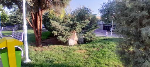 عکس بوستان گلها