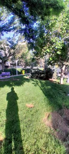 عکس بوستان گلها