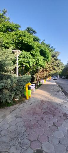 عکس بوستان گلها