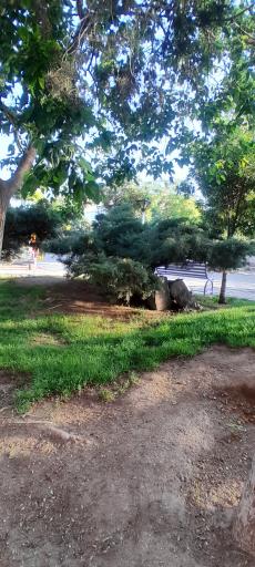 عکس بوستان گلها