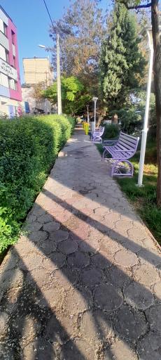 عکس بوستان گلها