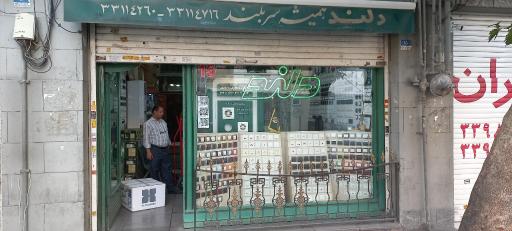 عکس دلند الکتریک