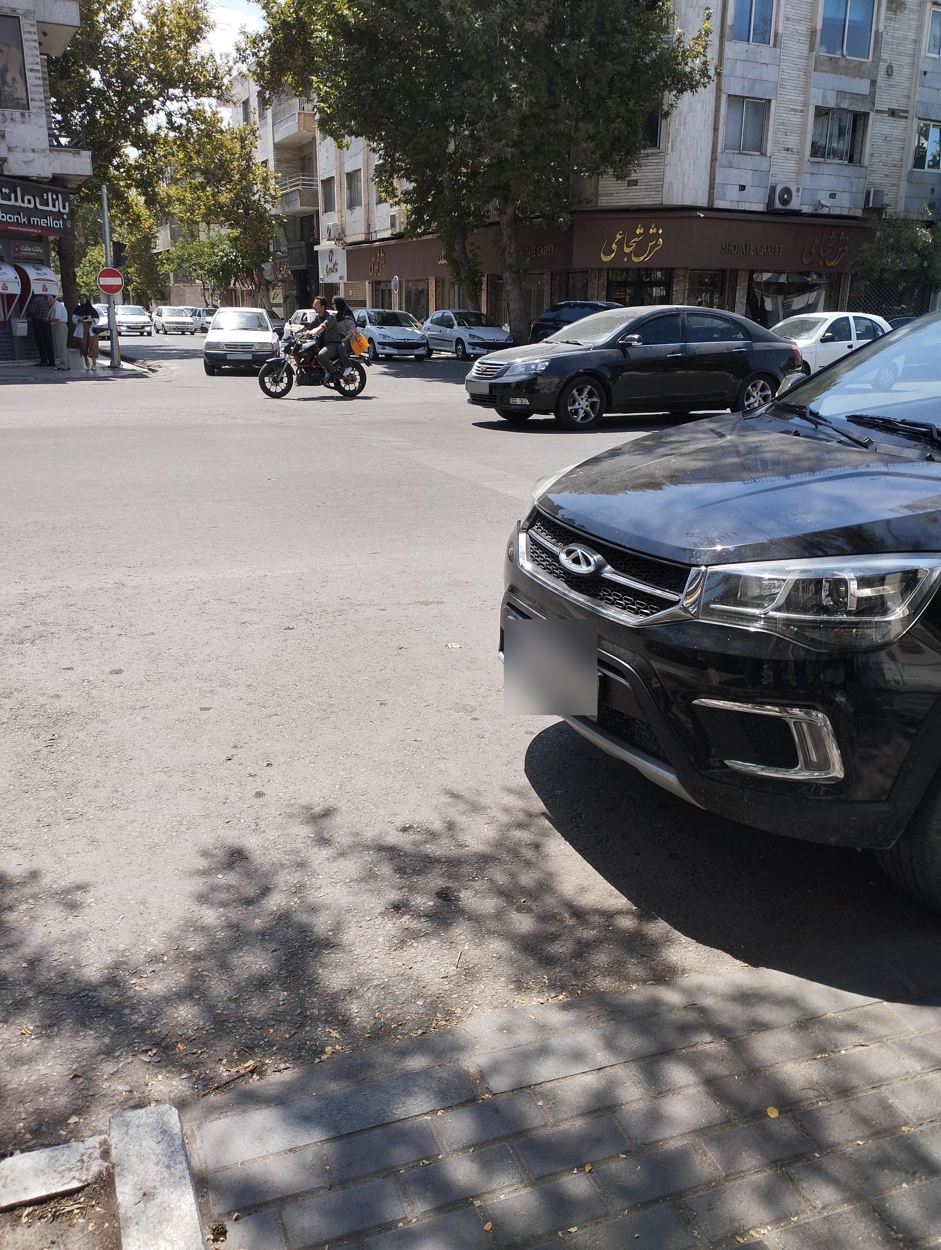 عکس فرش شجاعی