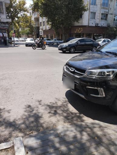 عکس فرش شجاعی